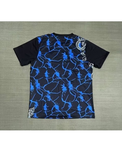 Maillot de football Inter Milan 2526