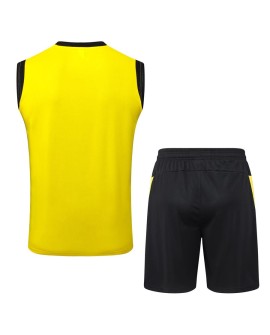 Borussia Dortmund Tenue d'entraînement jaune 2025/26