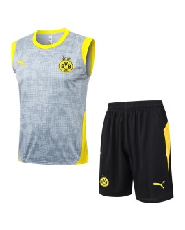 Borussia Dortmund Survêtement d'entraînement gris clair 2025/26