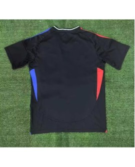 Olympique Lyonnais Jersey 2024/25 Away
