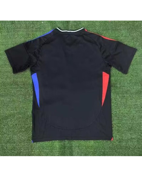 Olympique Lyonnais Jersey 2024/25 Away