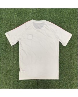 Maillot commémoratif Lyon 2025/26