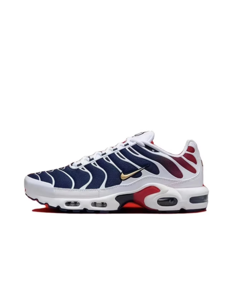 Nike Air Max Plus du PSG