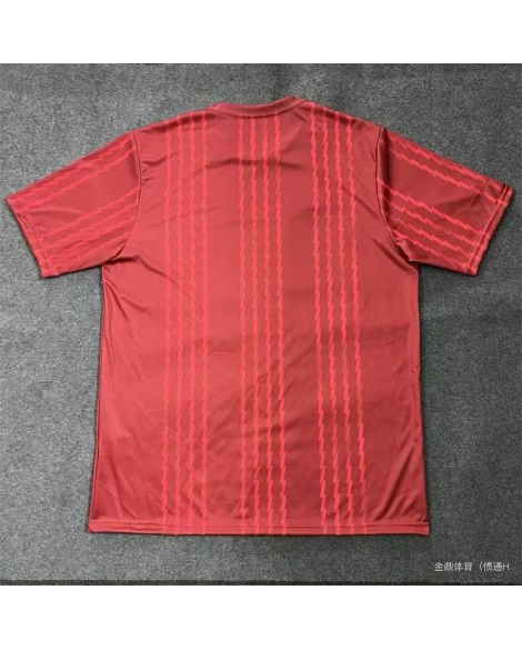Maillot édition spéciale Arsenal 2526