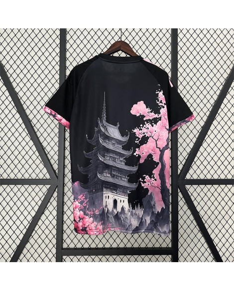 Édition spéciale Japon 2024