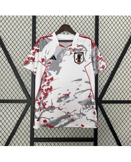 Édition spéciale Japon 2024