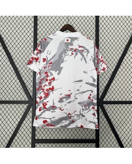 Édition spéciale Japon 2024