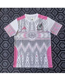 Maillot gris-rose édition spéciale Mexique 2026