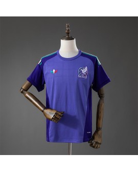 Mexico Maillot de gardien de but extérieur 2026