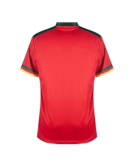 Maillot Cameroun Troisième Coupe du Monde 2022