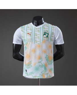 Côte d'Ivoire Maillot Extérieur 2026 - Player