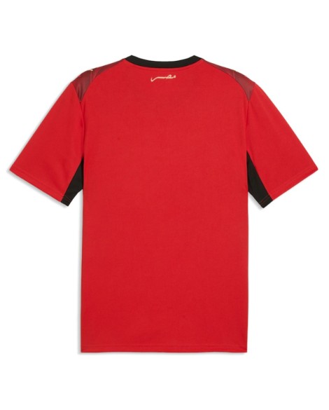 Egypt Maillot domicile 2026