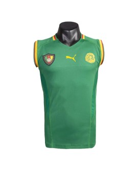 Maillot Nigeria Domicile Rétro 2002