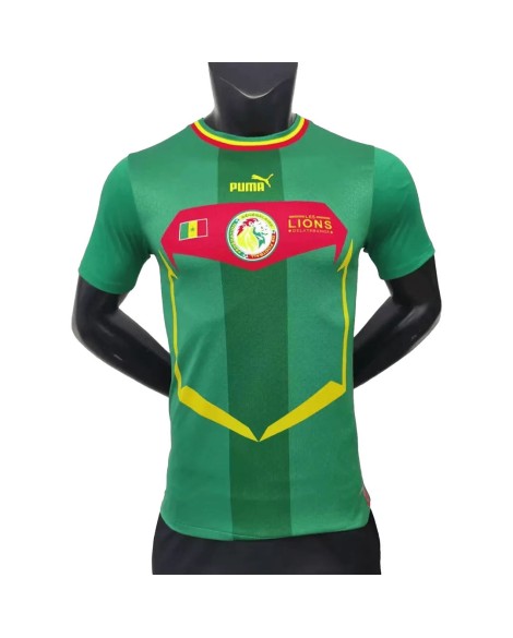 Maillot Sénégal 2022 Authentique Extérieur