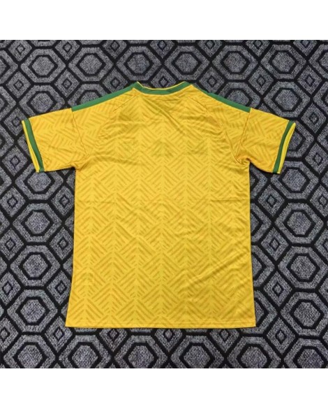 Maillot jaune domicile de l'Afrique du Sud 26-27