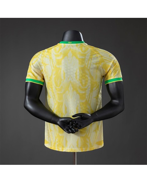 Maillot édition spéciale Coupe du monde Brazil 2026 – Player