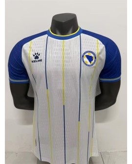 Bosnia and Herzegovina Maillot extérieur pour la Coupe du Monde 2026 - Player
