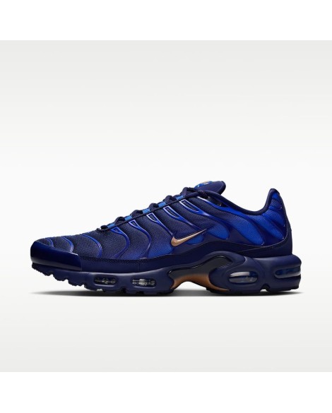 Nike Air Max Plus du FFF