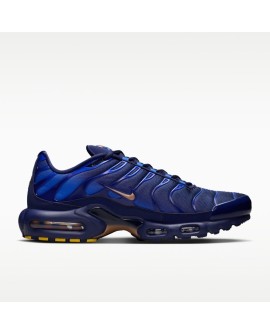Nike Air Max Plus du FFF