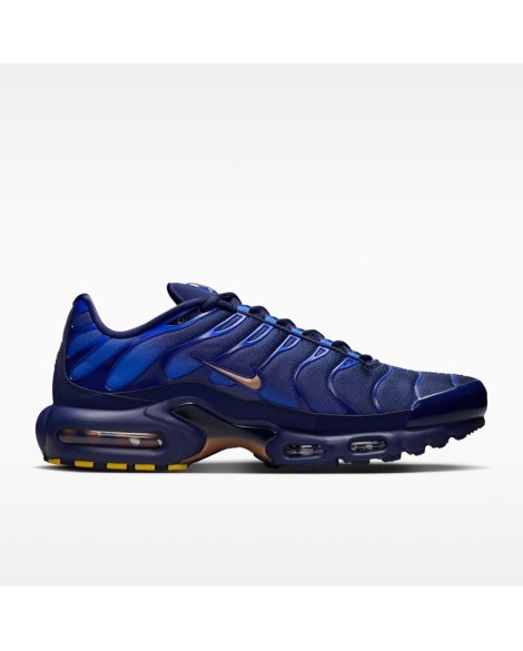 Nike Air Max Plus du FFF