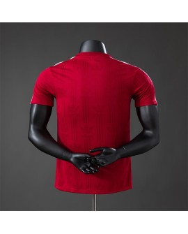 Germany Maillot d'entraînement rouge OG 2026 - Player