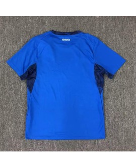 Maillot domicile de l'Islande 2526