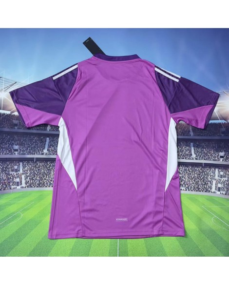 Maillot de gardien de but violet Italie 2526