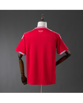 Maillot domicile du Pays de Galles 2526
