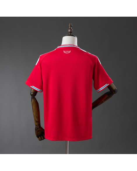 Maillot domicile du Pays de Galles 2526 Maillot domicile du Pays de Galles 2526