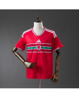 Maillot domicile du Pays de Galles 2526