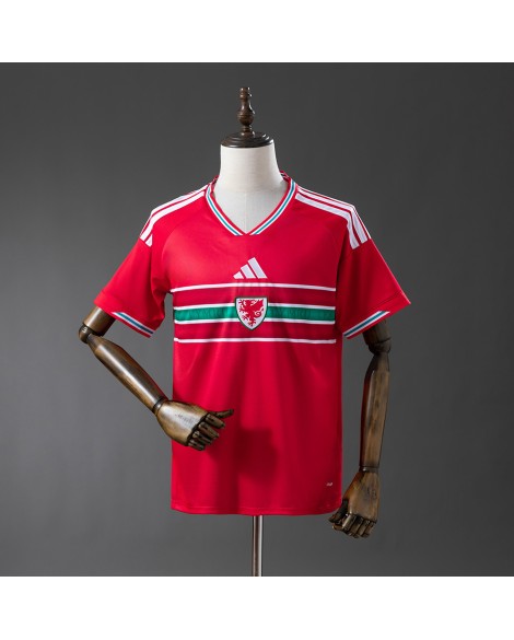 Maillot domicile du Pays de Galles 2526 Maillot domicile du Pays de Galles 2526