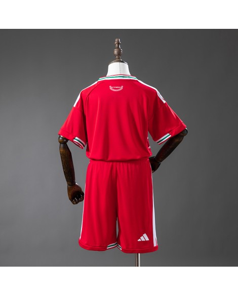 Ensemble de maillots domicile du Pays de Galles 2026 - Enfant Ensemble de maillots domicile du Pays de Galles 2026 - Enfant