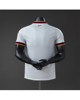 Maillot extérieur Espagne 2026 version championne deux étoiles - Player