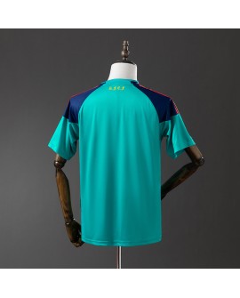 Maillot rétro gardien Espagne 2010