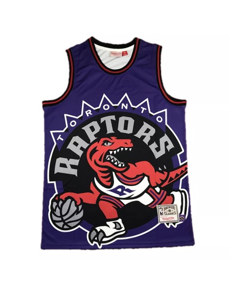 Maillot pour hommes des Raptors de Toronto Vince Carter #15 Mitchell & Ness Purple Hardwood Classics